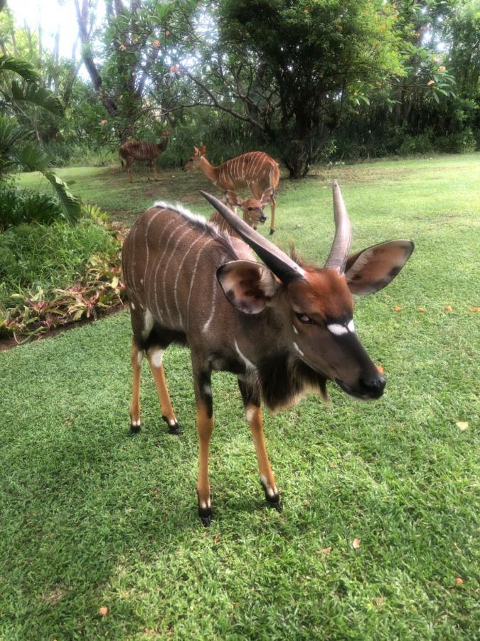 Hotel Jock Of The Bushveld Barberton Exteriér fotografie