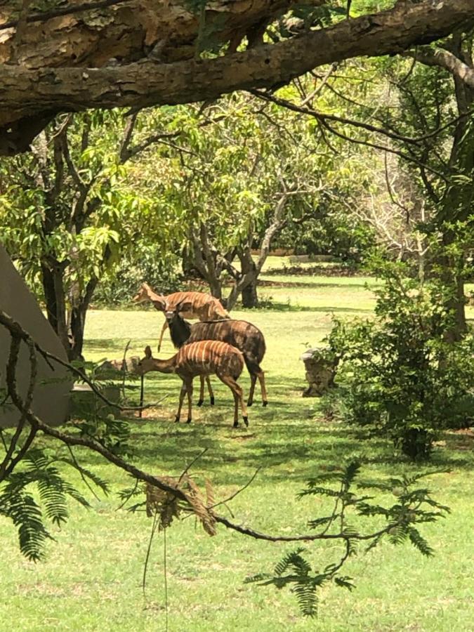 Hotel Jock Of The Bushveld Barberton Exteriér fotografie